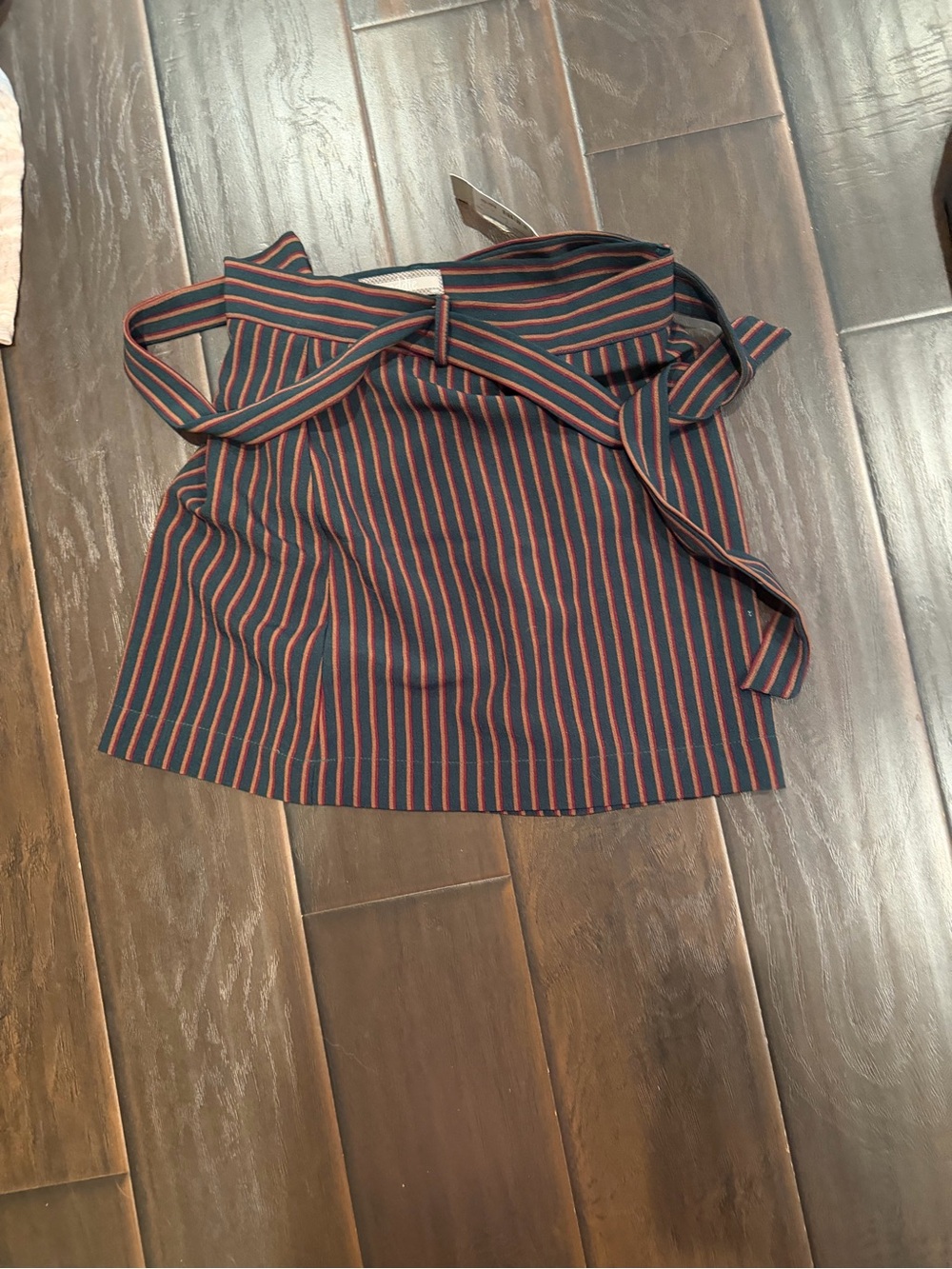 Lizard Thicket Navy Skirt with Red Stripes